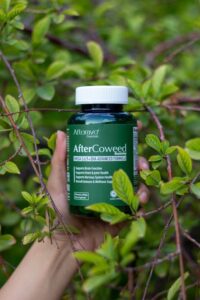 Boost Your Brain Power: The Ultimate Guide to Using Supplements for Optimal Cognitive Health